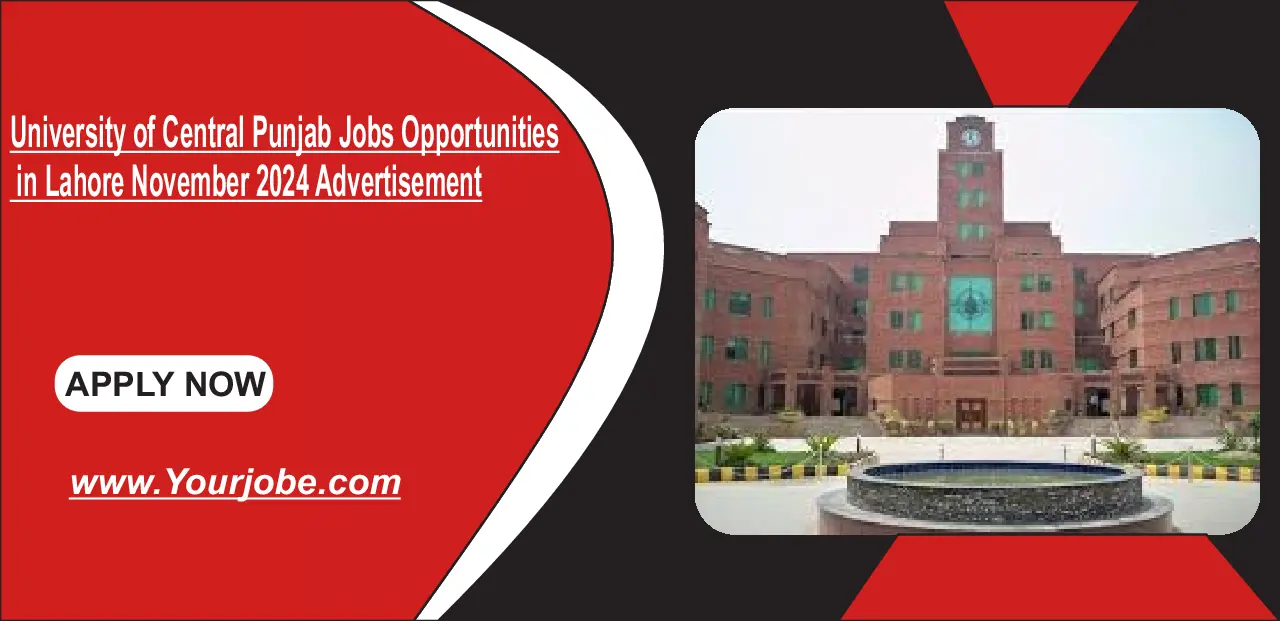 University of Central Punjab Jobs Opportunities in Lahore November 2024 Advertisement