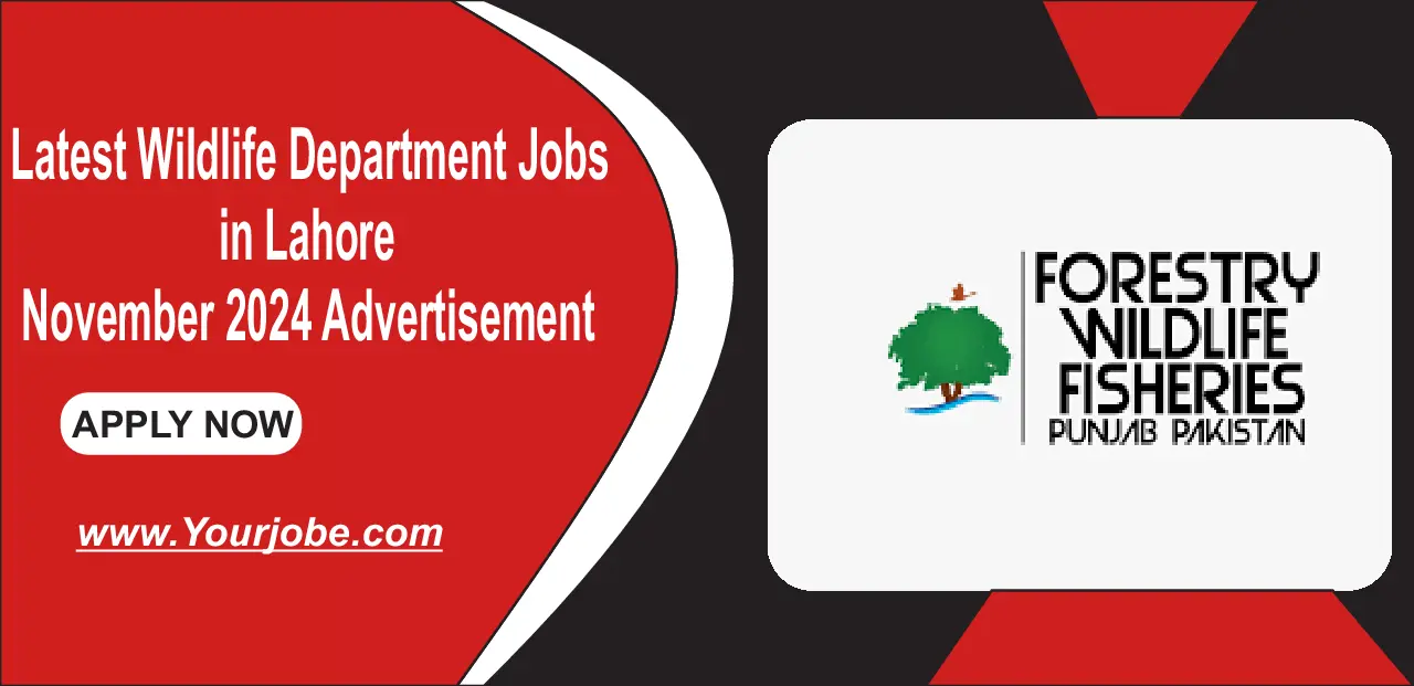 Latest Wildlife Department Jobs in Lahore November 2024 Advertisement