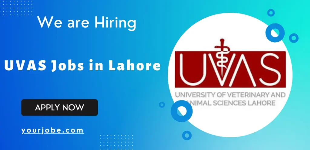 Latest UVAS Jobs in Lahore December 2024 – University of Veterinary & Animal Sciences Jobs